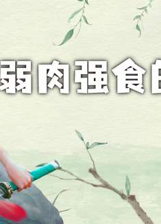 白蛇2：青蛇劫起：强者为尊的世界，自己强大，才能守护身边人