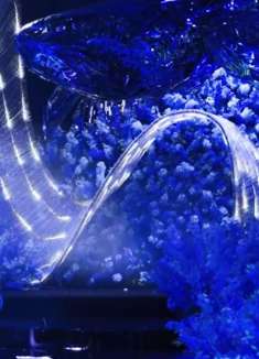 人鱼王子的故事 俞更寅