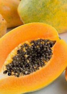 吃了30年才知道，原来木瓜籽也是可以种成小盆栽，千万别扔掉了