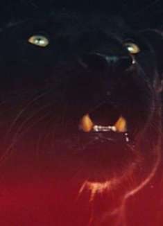 奇幻风专辑短片「MANIA」