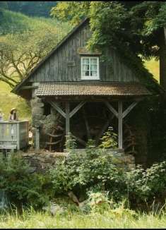 黑森林的露营与远足