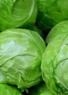 还在吃卷心菜的注意！别怪我没提醒你，不要忽视，看完提醒家里人