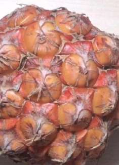 凤梨怎么挑才好吃？掌握这3点，一挑一个准