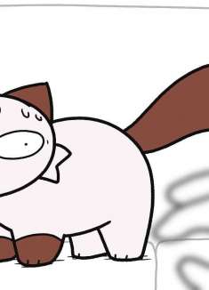 超真实~以一种古老的语言和猫咪交谈