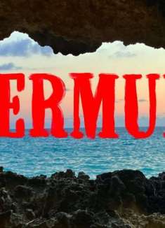 跃入大海，人为什么总是迷恋夏天？