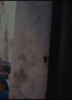 越是杂乱的生活，越需要一本杂志帮你呼吸