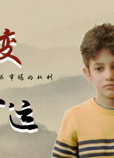 何以为家：一直在寻找一个落脚之地，让自己不再颠沛流离