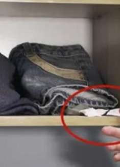 假如在家中衣柜发现“它”，说明家里出了问题，要重视，提醒家人