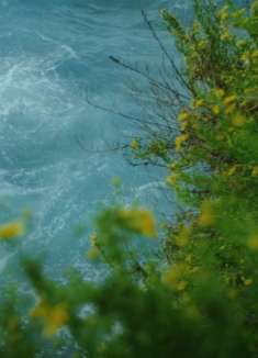 让时光停留在西西里岛的夏日午后