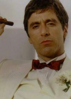 黑帮的天堂，「疤面煞星 × 托尼蒙大拿」影视混剪