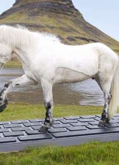 回你「马」的邮件这件事，老板们怎么看