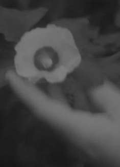 被童年的回忆治愈 | Hovvdy 全新专辑上线