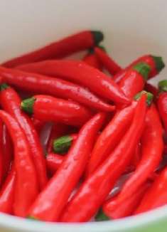 泡椒的做法，简单好吃又实用，我家一直自己做，好过瘾