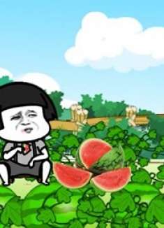 沙雕动画，西瓜引发一场人狗大战，人间惨剧！