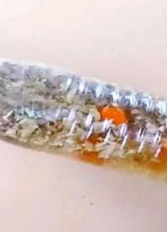 花生壳别扔，用对一年能省不少钱，可惜知道的人不多，家家用得到