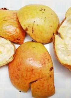 石榴皮真是个“宝”，拿钱都难换！当初不懂浪费了好多，都快看看