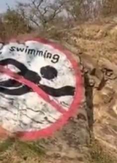 暗号对上了,这难道是我们丐帮帮主?