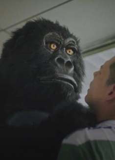 泰国爆笑脑洞广告：懒到猩猩都看不下去