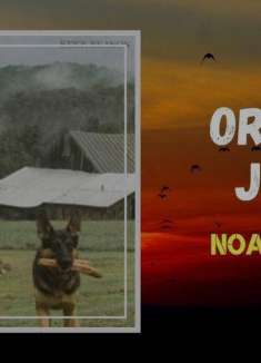 橙汁让人上瘾？来探寻情感的双重性吧