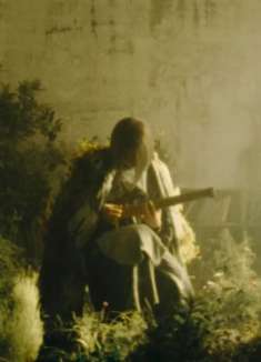 华丽的点弦手法，像是暗夜绽放的白玫瑰