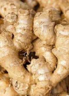 保存生姜原来这么简单，不干瘪不会烂，放半年还依旧新鲜，学学