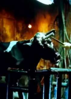 吃烧烤要注意！黑心老板卖病牛，吃完的食客竟都变丧尸了