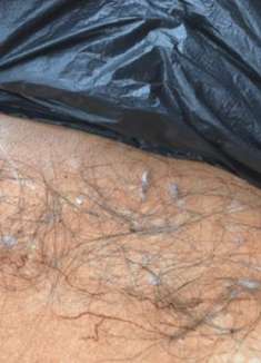 只需一个塑料袋，家里干干净净，地板上一根头发都没有