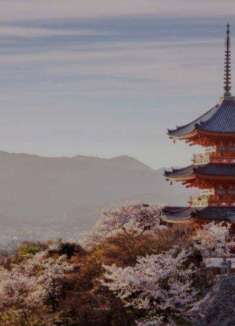 日本京都樱花之旅，满是治愈的颜色