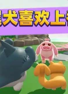 蛋仔派对：当蛇尾犬喜欢上香肠犬！