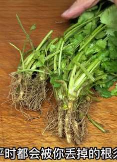 这四种普通蔬菜根可别再丢了，放一起煮一煮，解决很多家庭大烦恼
