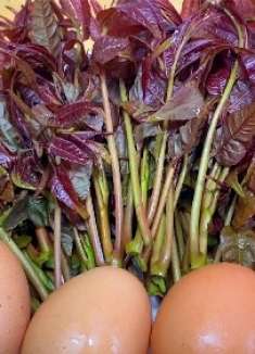 香椿炒鸡蛋不要直接下锅炒，多加这两步，鸡蛋蓬松，味道更鲜香