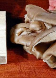 用平菇加一块豆腐，简单做成烧菜，营养好吃