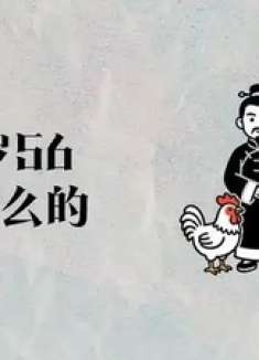 周岁56属什么的