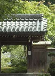 孤篷庵：美丽的日本庭院