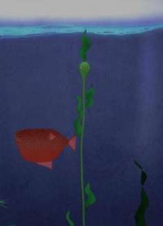 治愈音乐短片，孤独的海藻渴望飞翔