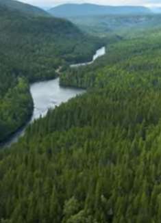 加拿大瀑布：让人惊叹不已的美景