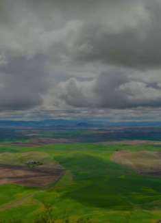 美丽的自然风光，让人心旷神怡