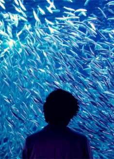 一部几乎没有特效的科幻爽片，看完后，让人细思极恐！