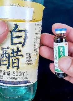 今天才知道，藿香正气水倒进白醋里，还有这么妙的作用，太聪明了