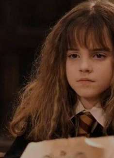 「哈利波特」搞笑混剪：当赫敏与罗恩吵架