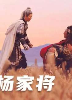 满门忠烈杨家将，七子去六子回！