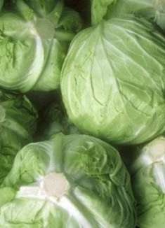 你家还在吃卷心菜吗？别怪我没提醒你，不要忽视，抓紧提醒家里人