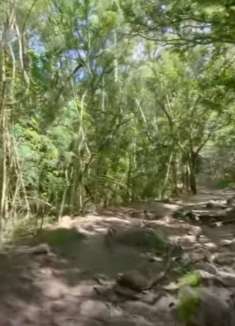 夏威夷：让人陶醉不已的美景