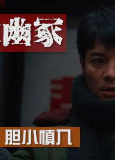 黄皮幽冢：胡八一误闯鬼衙门，怪异事件频出，胆小慎入