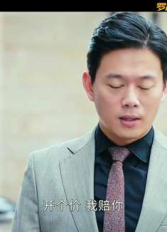 法官全集深度解读11：乡村开发商遇坑，村民反转局面