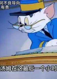 人类无所不能，愿所有小动物被友善对待