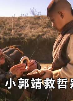 神箭手哲别被追杀，幸得小郭靖相救！