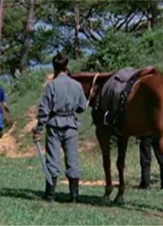 鹰王：恶霸围攻猎户，哪料猎户是高手不好惹，刀刀夺命，大快人心