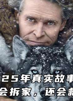 《多哥》改编自1925年真实故事，二哈不只会拆家，还会救人！