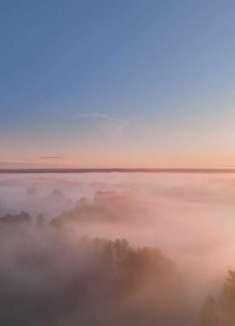 布良斯克森林：在薄雾中感受俄罗斯中部景观